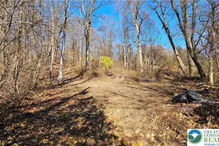 4057 Sherry Hill Rd, Lower Saucon Township, PA 18055 - Photo 20