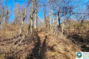 4057 Sherry Hill Rd, Lower Saucon Township, PA 18055 - Photo 16