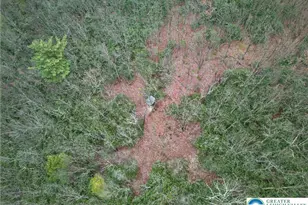 2205 Long Run Rd, Franklin Twp, PA 18235 - Photo 28