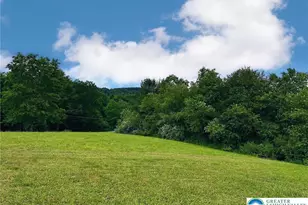 T425 2 Whitey B Dr, Polk Twp, PA 18058 - Photo 6