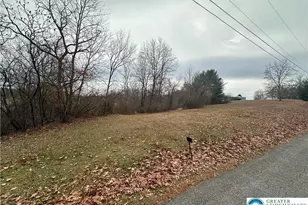 T425 2 Whitey B Dr, Polk Twp, PA 18058 - Photo 2