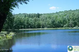 235 Stafford Dr, Lehman Twp, PA 18324 - Photo 50