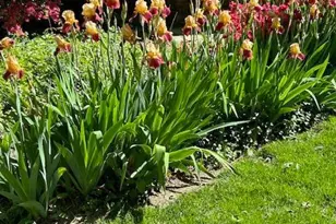 1808 Sycamore St, Bethlehem City, PA 18017 - Photo 50