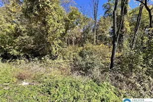 Pa Route 33, Bushkill Twp, PA 18091 - Photo 2