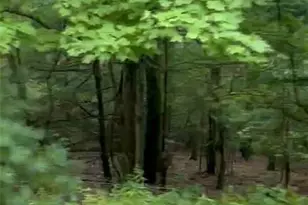 3018 Hickory Ln, Luzerne, PA 18655 - Photo 2