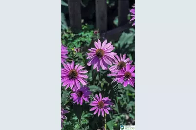 608 McKinley, Hazle Township, PA 18201 - Photo 58