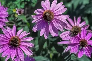 608 McKinley, Hazle Township, PA 18201 - Photo 58