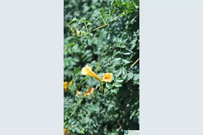 608 McKinley, Hazle Township, PA 18201 - Photo 56