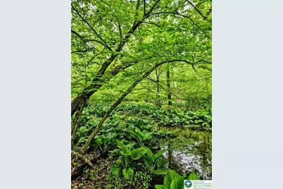 155 W Adamsdale Road, North Manheim Twp, PA 17972 - Photo 88