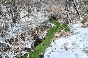 155 W Adamsdale Rd, North Manheim Twp, PA 17972 - Photo 82