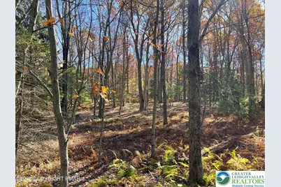 226 Bear Creek Lake Drive, Penn Forrest, PA 18229 - Photo 34