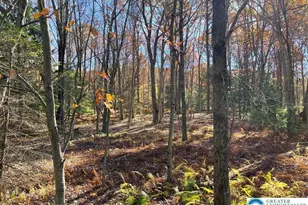 226 Bear Creek Lake Dr, Penn Forrest, PA 18229 - Photo 6