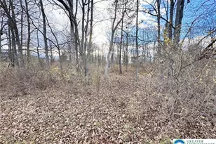 Airport Rd, Mahoning Twp, PA 18235 - Photo 2