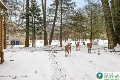 3280 Red Run Road, Coolbaugh Twp, PA 18346 - Photo 30