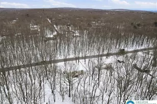 1437 State Route 534, Penn Forrest, PA 18210 - Photo 66