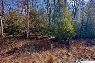 Wild Creek Dr, Penn Forrest, PA 18229 - Photo 2