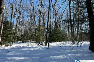 Wild Creek Dr, Penn Forrest, PA 18229 - Photo 2