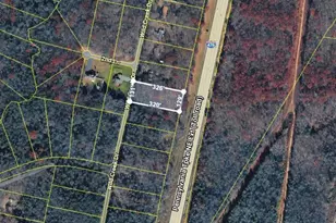 Wild Creek Dr, Penn Forrest, PA 18229 - Photo 4