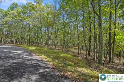 0 Stone Ridge Road, Penn Forrest, PA 18210 - Photo 2