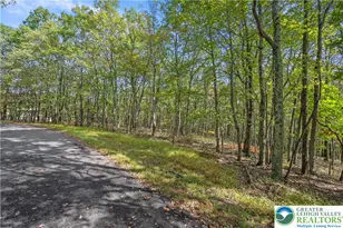 0 Stone Ridge Rd, Penn Forrest, PA 18210 - Photo 2