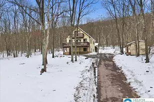 704 Rainbow Terrace, Polk Twp, PA 18330 - Photo 6