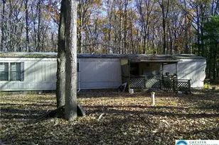 414 Turkey Ridge Rd, Upper Mt Bethel Twp, PA 18343 - Photo 6