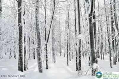 0 Whipporwill Drive, Lehman Twp, PA 18324 - Photo 4