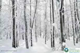 0 Whipporwill Dr, Lehman Twp, PA 18324 - Photo 4