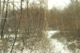 0 Main St, Washington Twp, PA 18080 - Photo 10