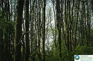 0 Main St, Washington Twp, PA 18080 - Photo 2