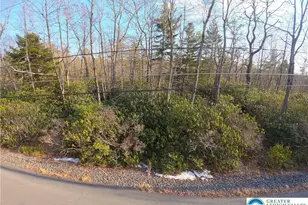 Delware Dr, Penn Forrest, PA 18229 - Photo 1