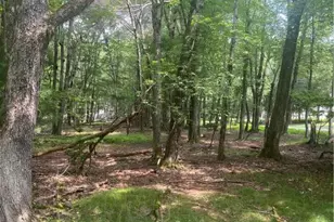 6003 Scenic Dr, Chestnuthill Twp, PA 18210 - Photo 4