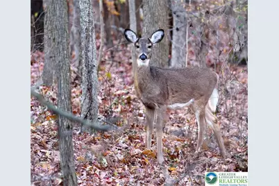 129 Fall Court #58, Dingmans Ferry, PA 18328 - Photo 1