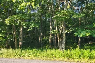 168 Cross St, Pocono Lake, PA 18347 - Photo 6