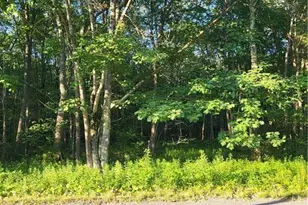 168 Cross St, Pocono Lake, PA 18347 - Photo 2