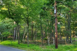 5120 Pine Tr Ln, Tobyhanna Twp, PA 18346 - Photo 4