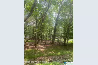 407 Pine Tree Road, Penn Forrest, PA 18210 - Photo 2