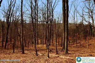 407 Pinetree Rd, Penn Forrest, PA 18210 - Photo 14