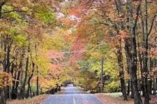 407 Pinetree Rd, Penn Forrest, PA 18210 - Photo 12