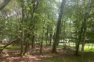 407 Pinetree Rd, Penn Forrest, PA 18210 - Photo 4