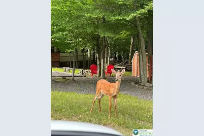 4331 Wildlife Way, Covington Township, PA 18424 - Photo 28