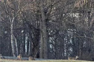 502 Waterford Terrace, Easton, PA 18042 - Photo 34