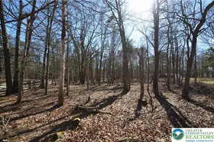 Stony Mountain Rd, Penn Forrest, PA 18210 - Photo 2