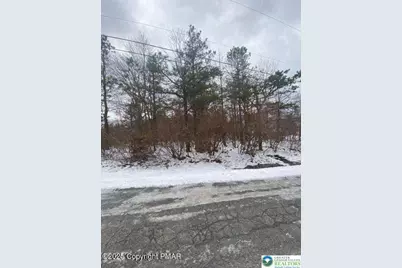 0 Deerfoot &  Pine Tree Road, Penn Forrest, PA 18210 - Photo 8