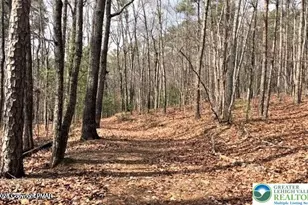 406 Deer Foot Ln, Penn Forrest, PA 18210 - Photo 16