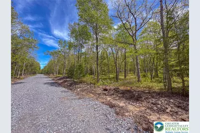 Cross Run Road #Lot 567, Penn Forrest, PA 18229 - Photo 1