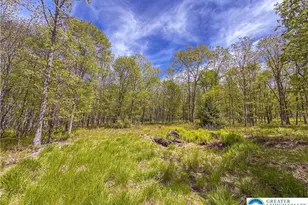 Cross Run Rd, Penn Forrest, PA 18229 - Photo 2