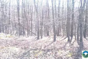 132 Kenoza Dr, North Union Township, PA 18202 - Photo 1