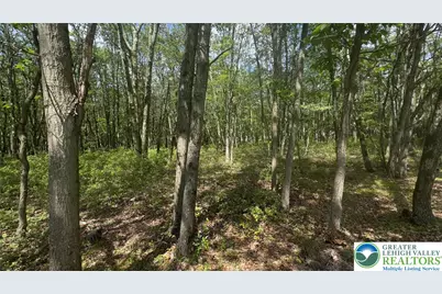 Seneca Trail, Penn Forrest, PA 18210 - Photo 1