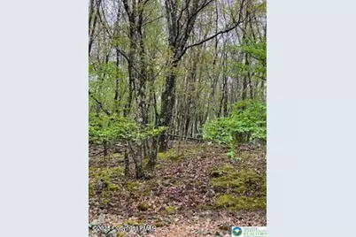 Spring Court, Pike, PA 18324 - Photo 10